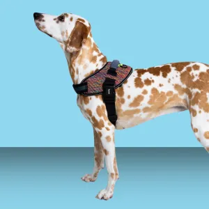 Zee.Dog Fly Harness Vortex Size 3